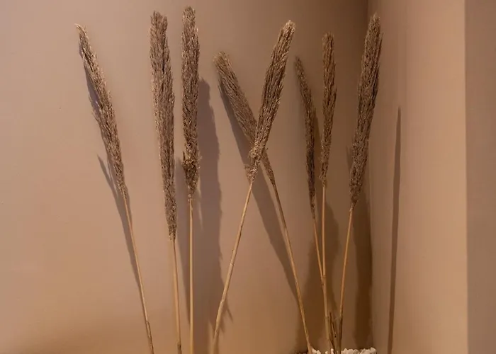 Abastos By Concept Flats شقة